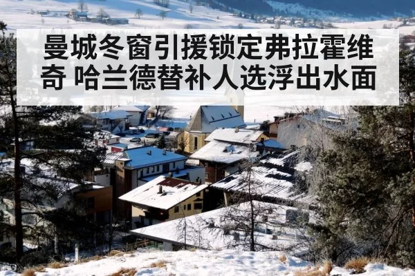 曼城冬窗引援锁定弗拉霍维奇 哈兰德替补人选浮出水面
