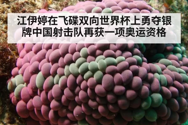 江伊婷在飞碟双向世界杯上勇夺银牌中国射击队再获一项奥运资格